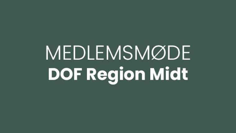 Medlesmøde Midt